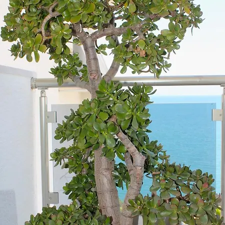 Appartement Limani Deluxe