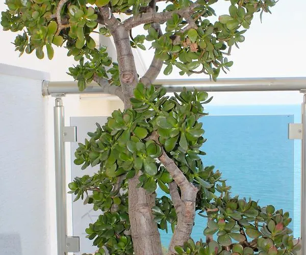 Apartamento Limani Deluxe